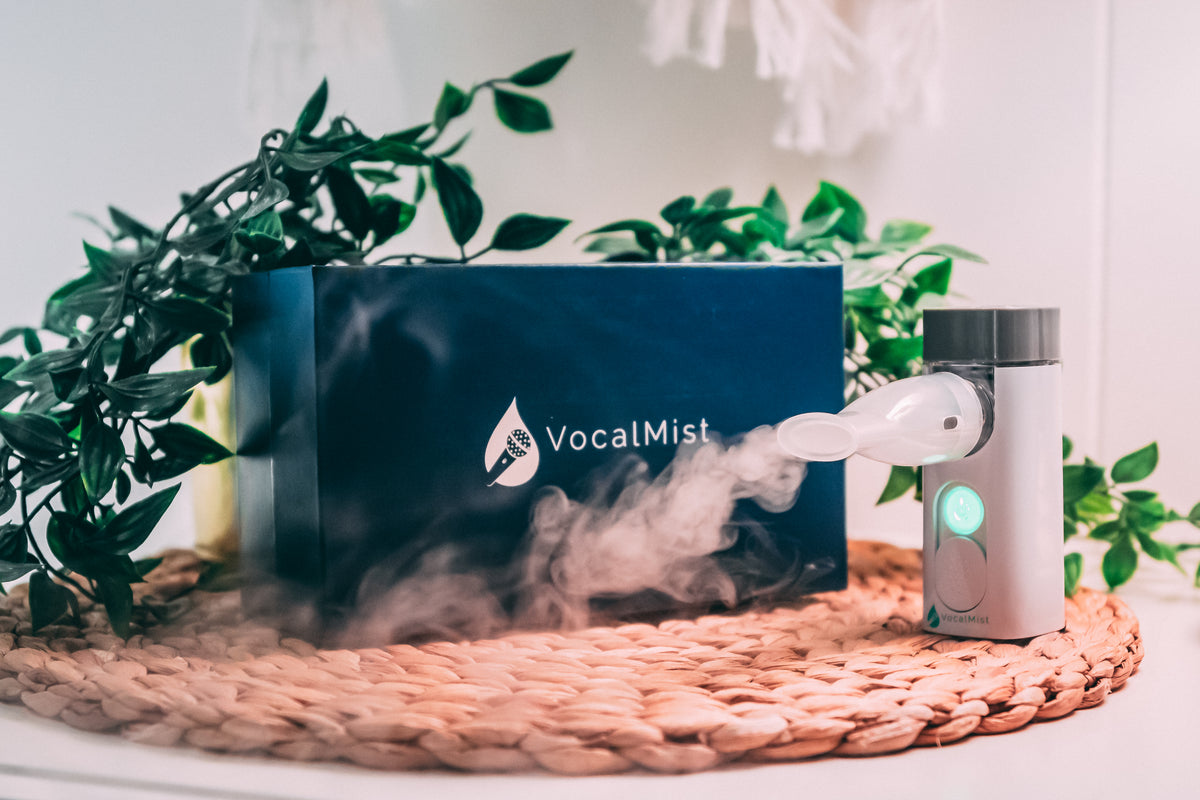 Beyond the Voice – VocalMist